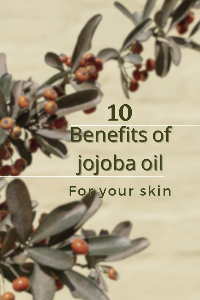 10 Benefits of Jojoba oil for your skin
